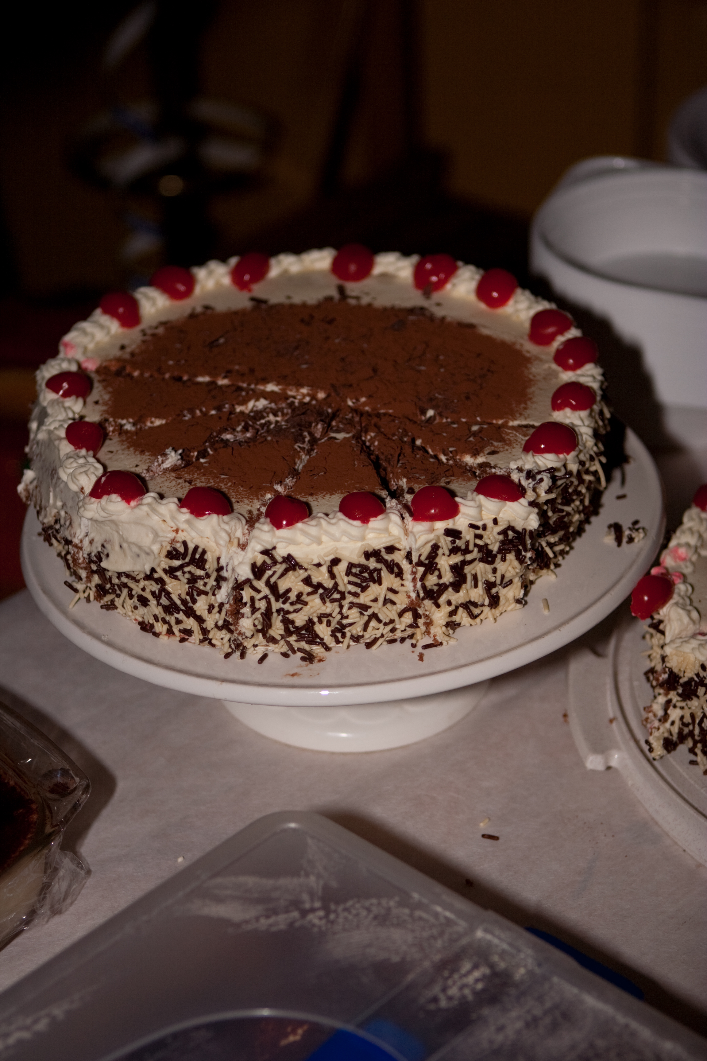 Mariette verjaardags feest 2009-116.jpg